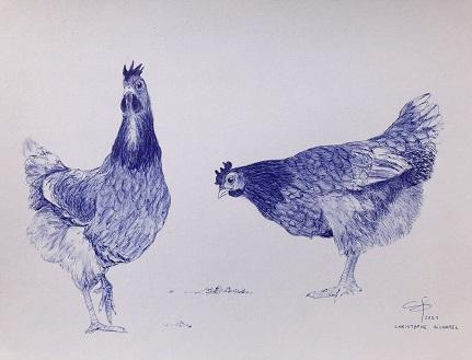 Bicharel christophe dessin stylo bille poules