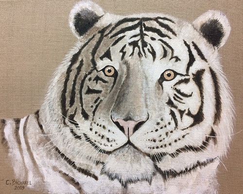 Christophe bicharel tigre blanc huile sur toile 2019 8