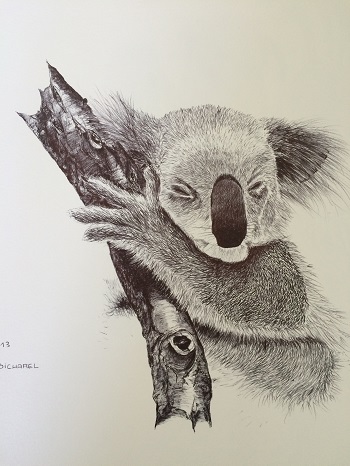 Dessin stylo bill koala reduit