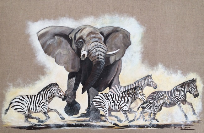 L elephant et les zebres reduit