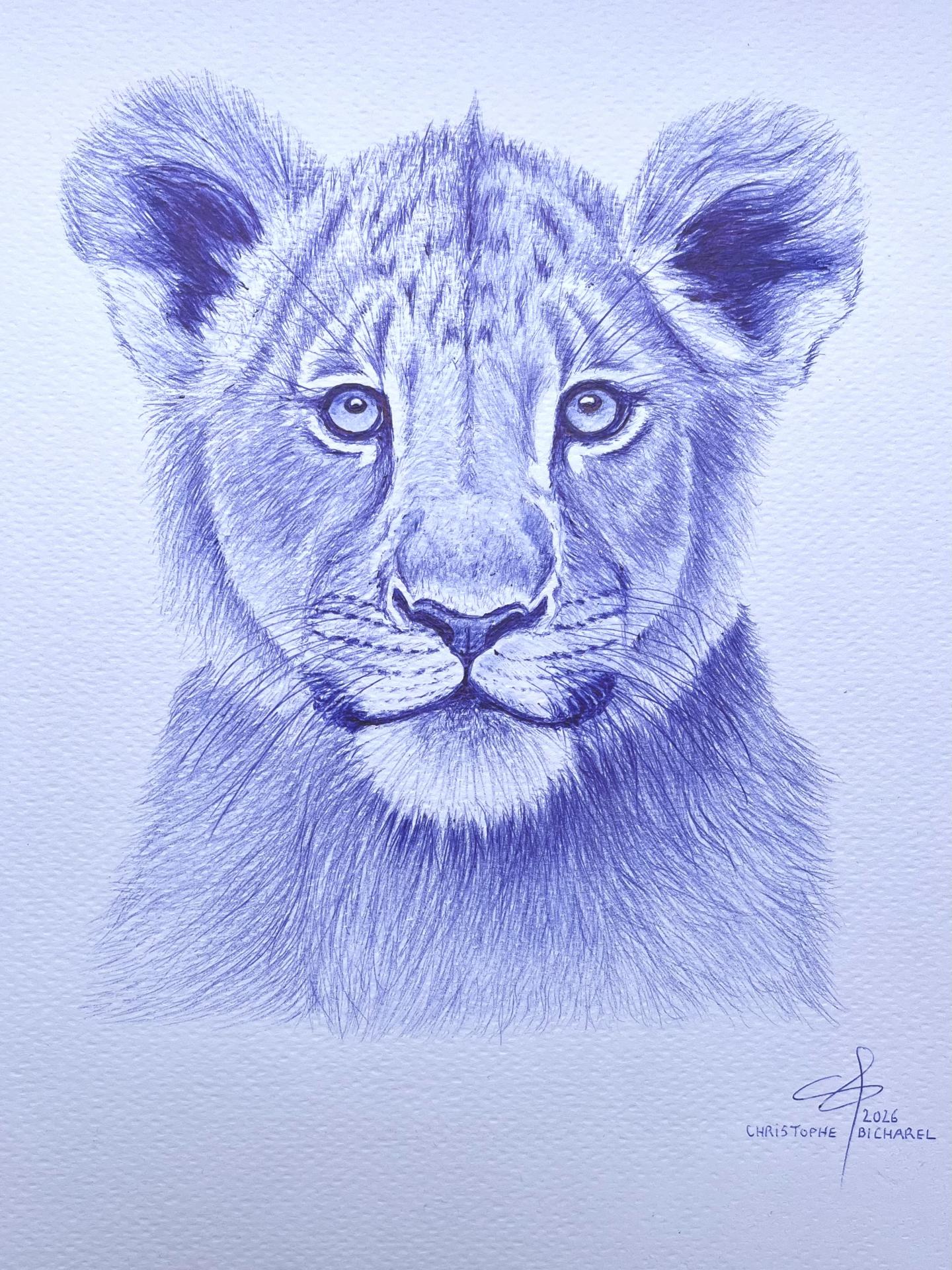 Lionceau bicharel