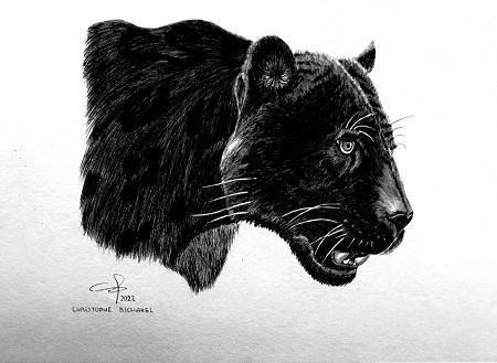 Panthere noire christophe bicharel stylo bille 2